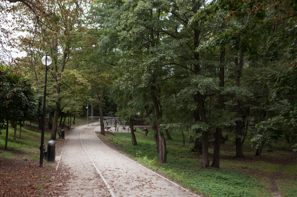 alejka w parku imienia kasiędza Tadeusza Kirschke zwanym parkiem Nadolnik