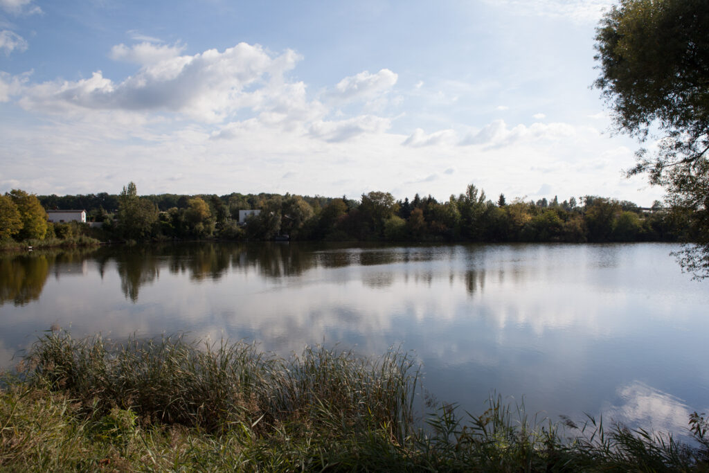 staw kajka na terenie ogródków działkowych na Głównej